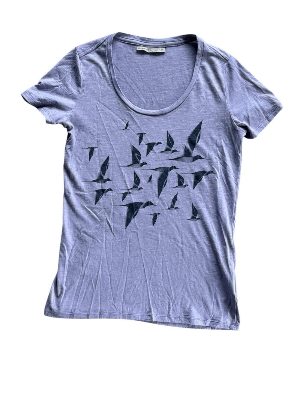 Icebreaker Merino Wool Bird Graphic Tee Small Light Purple